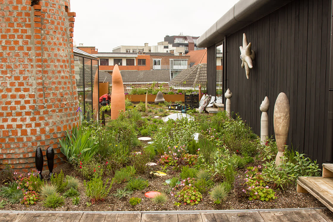 Devriendt_semi_intensief_groendak_Gent_01