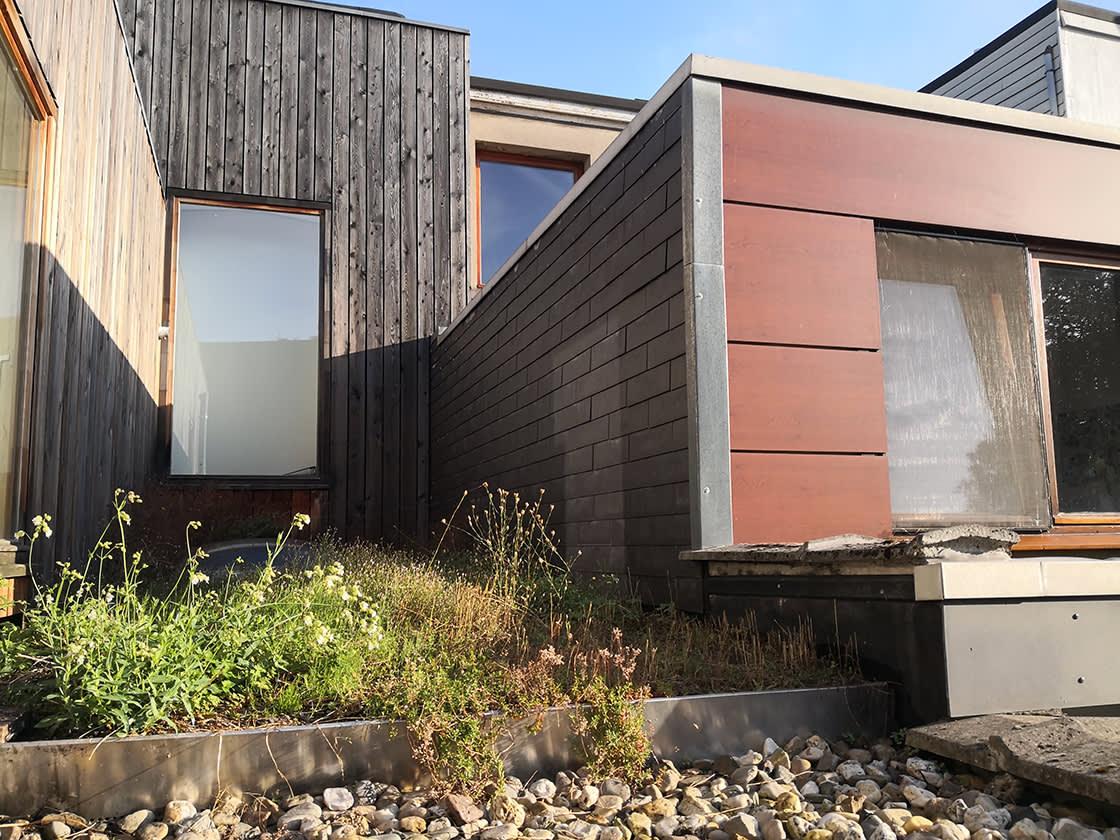 Natuurdak_Poupaert_Berchem_01