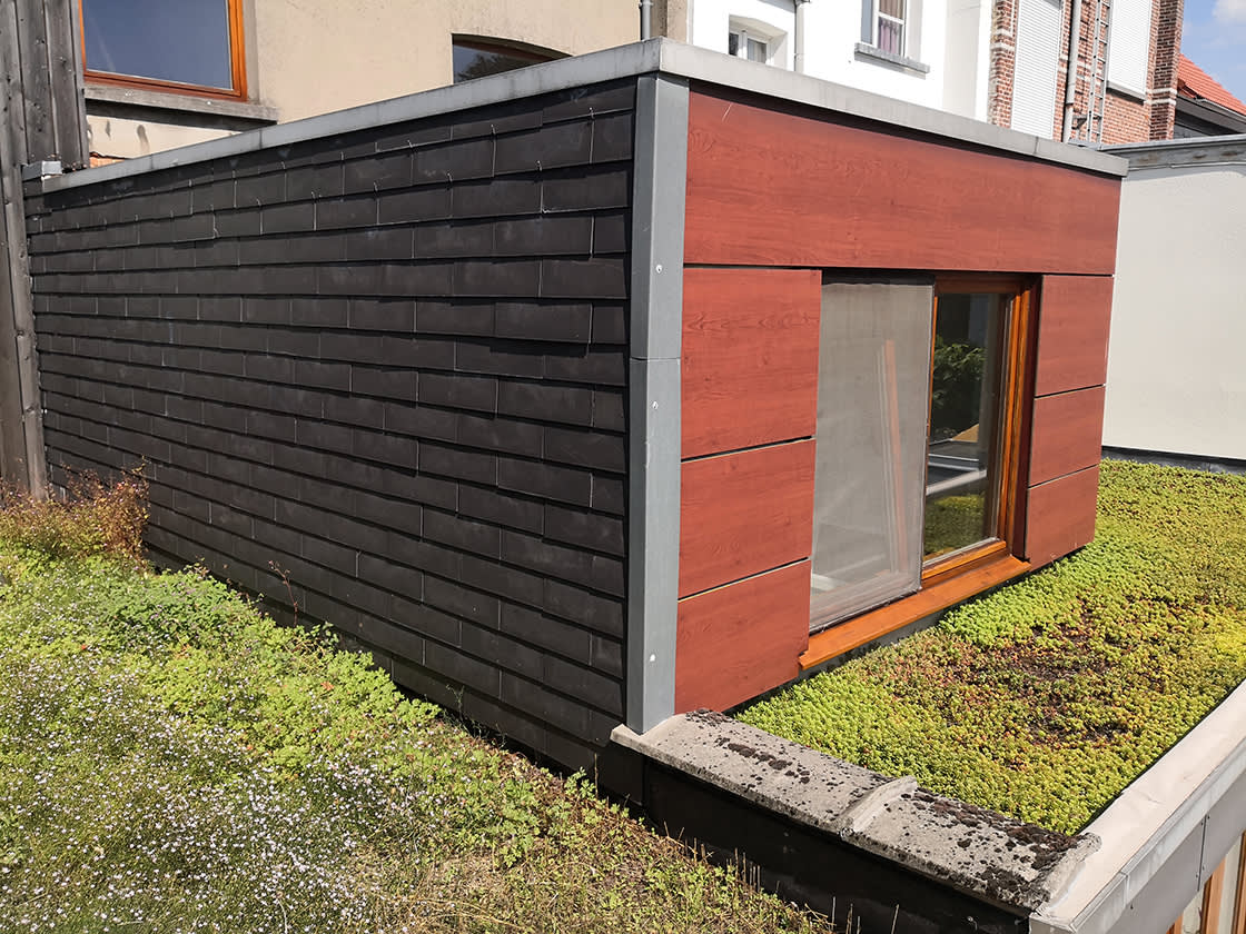 Natuurdak_Poupaert_Berchem_04