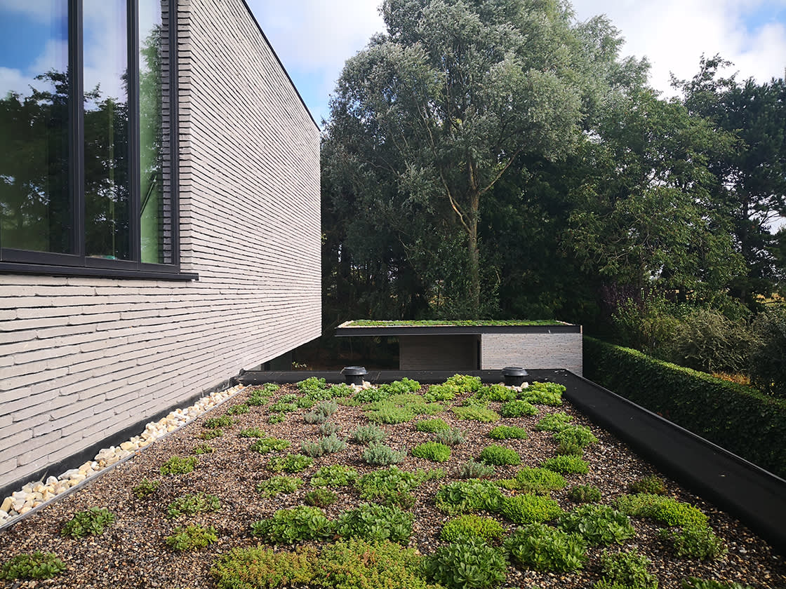 Vermeulen_groendak_Temse_01