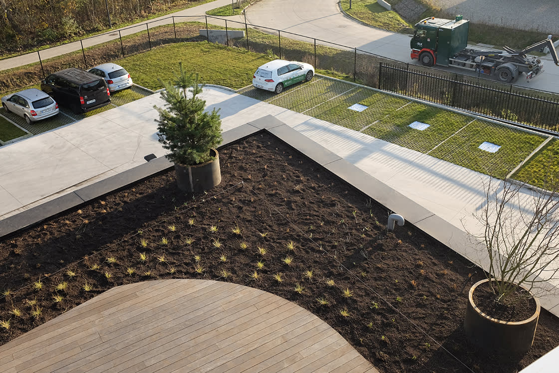 Meyvaert_Gent_groendak_daktuin_04