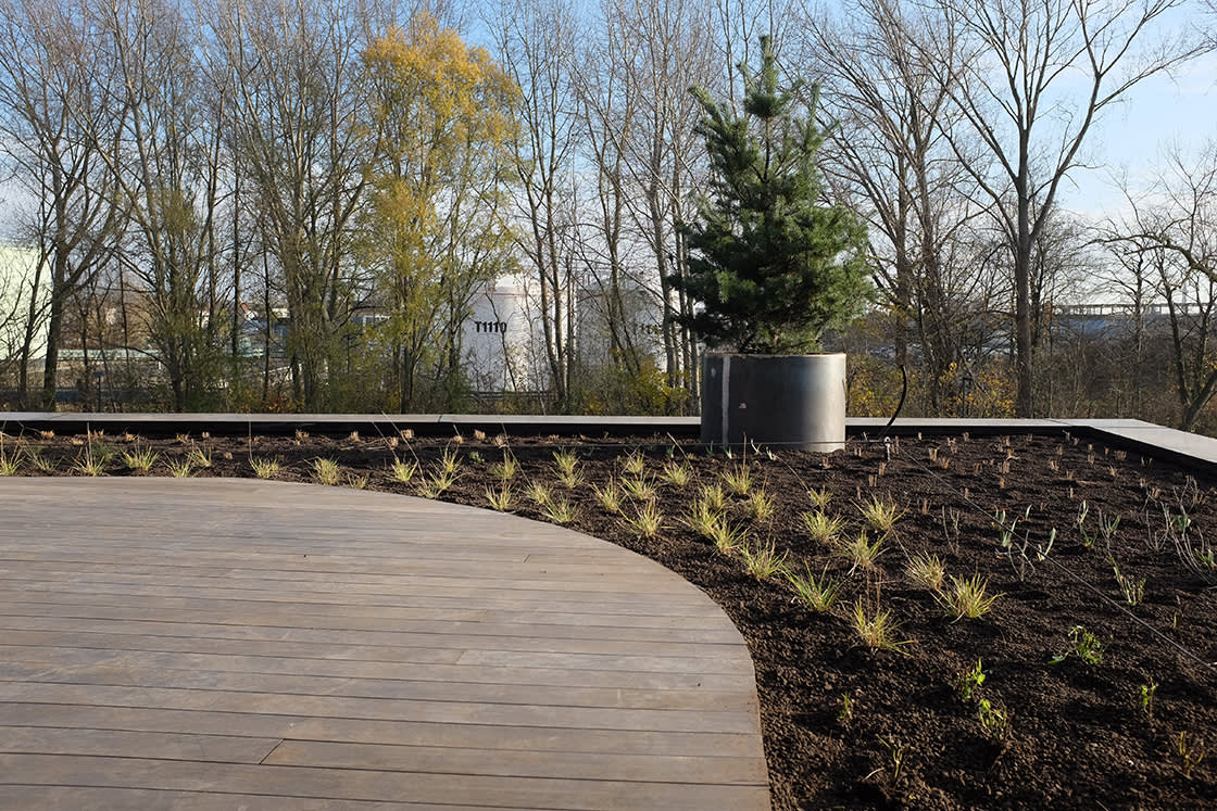Meyvaert_Gent_groendak_daktuin_07