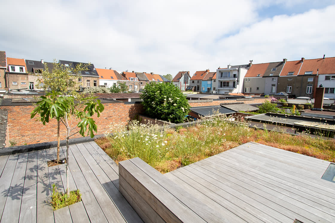 Deroo_natuurdak_gent_03