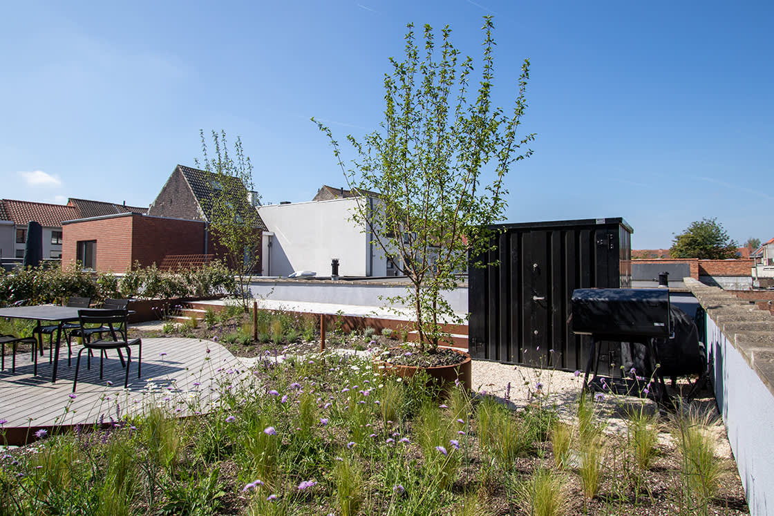 Praet_Vanhaverbeke_2022_02