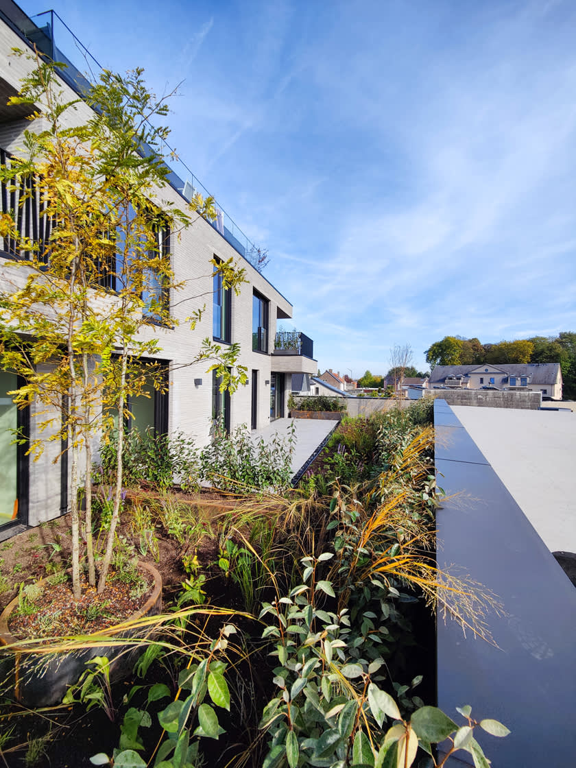 Gentsche_baen_daktuin_02