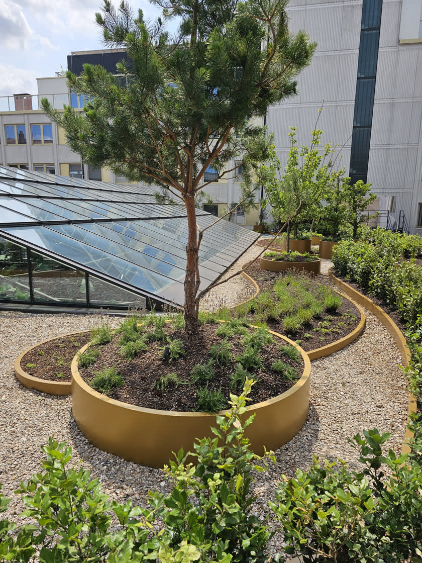 Daktuin_Yalo_Gent_02