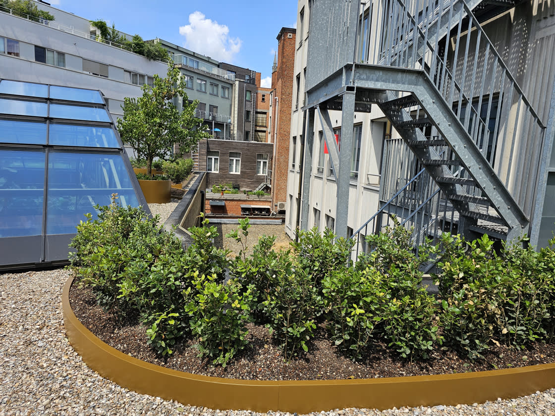 Daktuin_Yalo_Gent_07