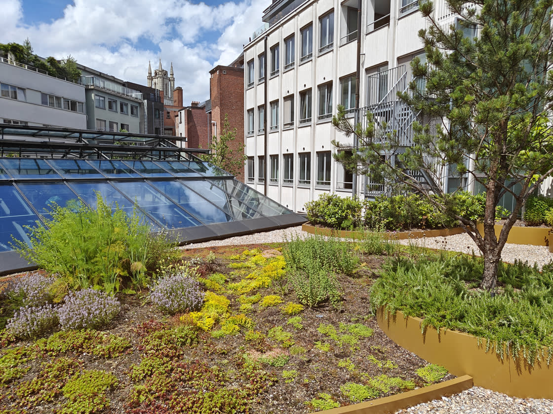 Yalo_daktuin_2024_03