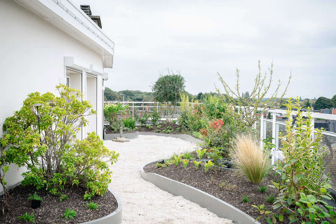 Rombouts_borsbeek_01