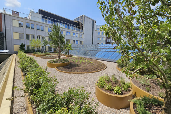 daktuin-yalo-hotel-gent