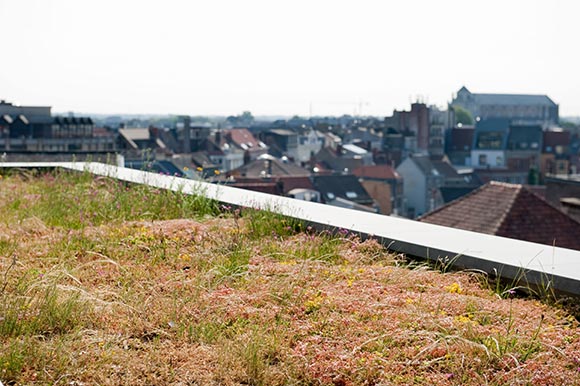 natuurdak-fhvm-gent