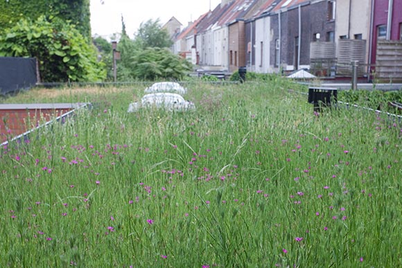 natuurdak-acfs-gent