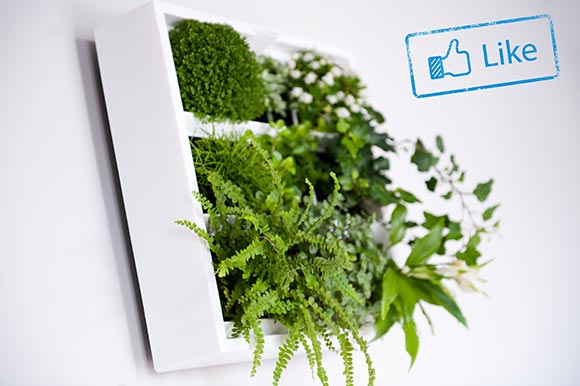 win-een-mini-groengevel