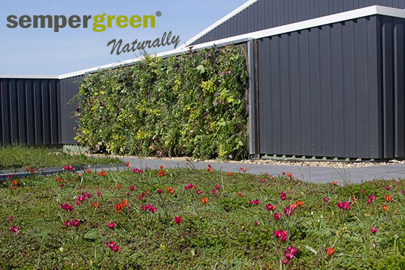 bedrijfsbezoek-sempergreen-optigroen-nl