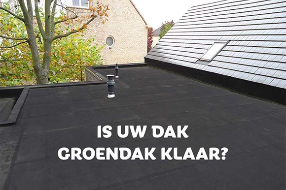 de-basisvoorwaarden-voor-een-groendak