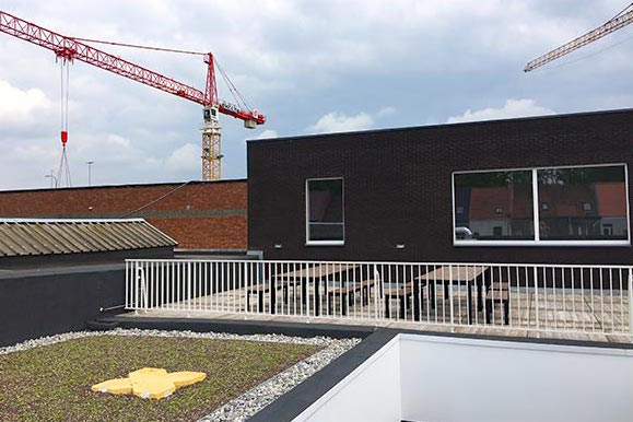 sedumdak-abso-gentbrugge