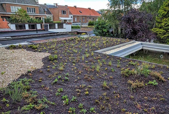 natuurdak-hvpl-oudenaarde