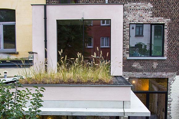semi-intensief-groendak-vbhs-gent