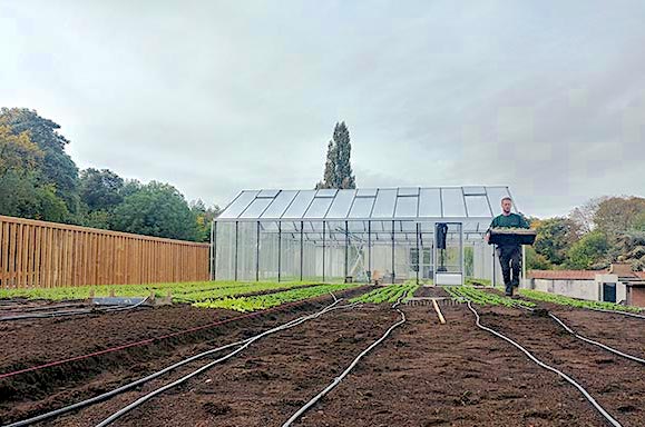 dakmoestuin-delhaize-boondael-elsene