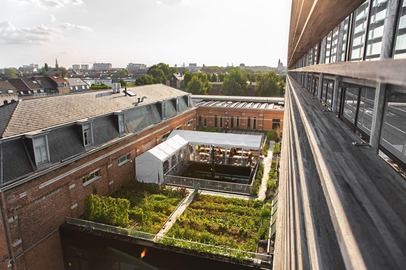 dakmoestuin-rooffood-de-punt-gentbrugge