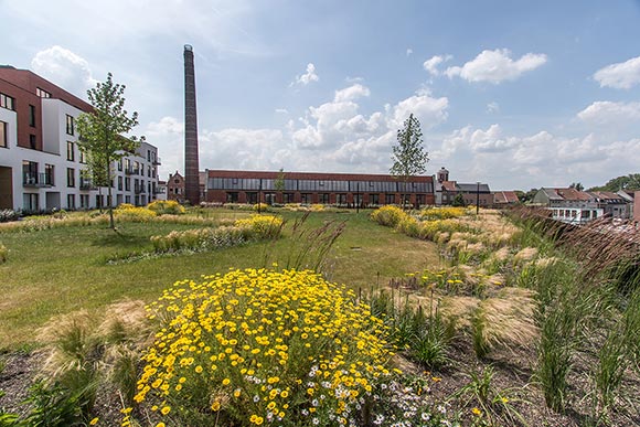daktuin-tribeca-gent