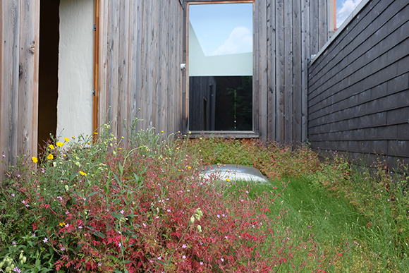 natuurdak-pvhw-berchem