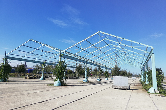 grondgebonden-groengevel-hangar-19-spoor-oost-antwerpen