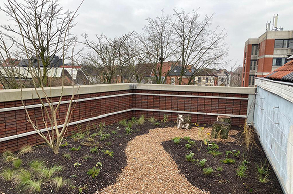 daktuin-vvjh-gent