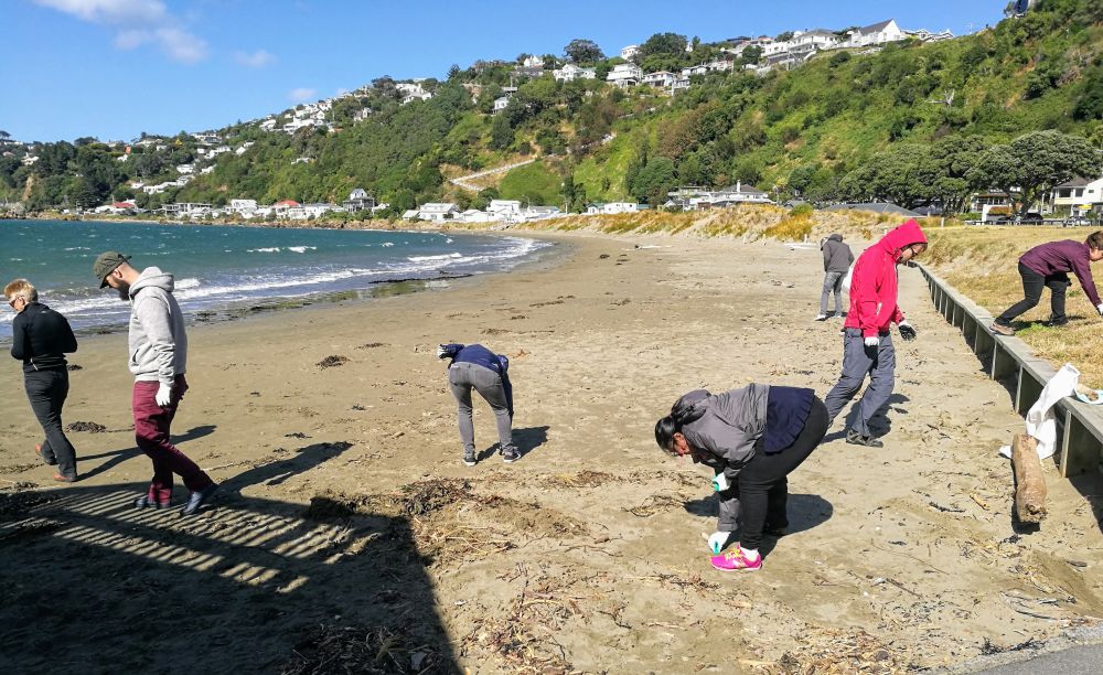 picking up rubbish on beach