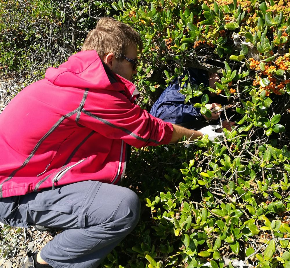 the team in the bushes gathering rubbish