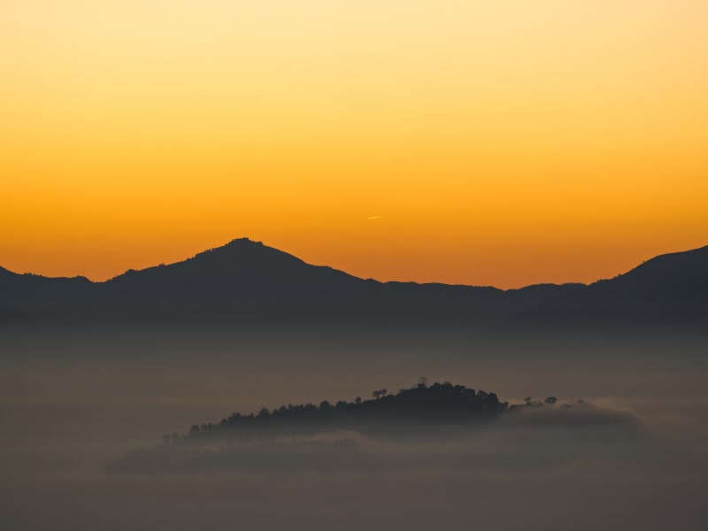 Volunteering in PY4P