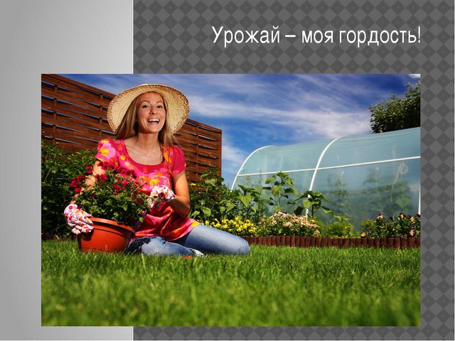 Урожай – моя гордость!