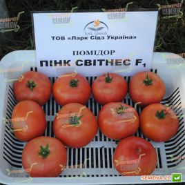 Пинк Свитнес F1 семена томата дет. розового (Lark Seeds)