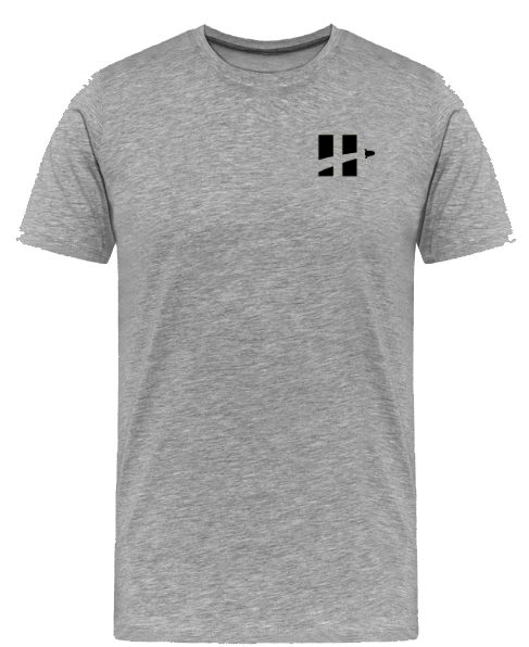 Camisa Gris