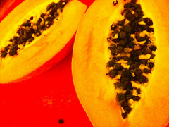 Papaya