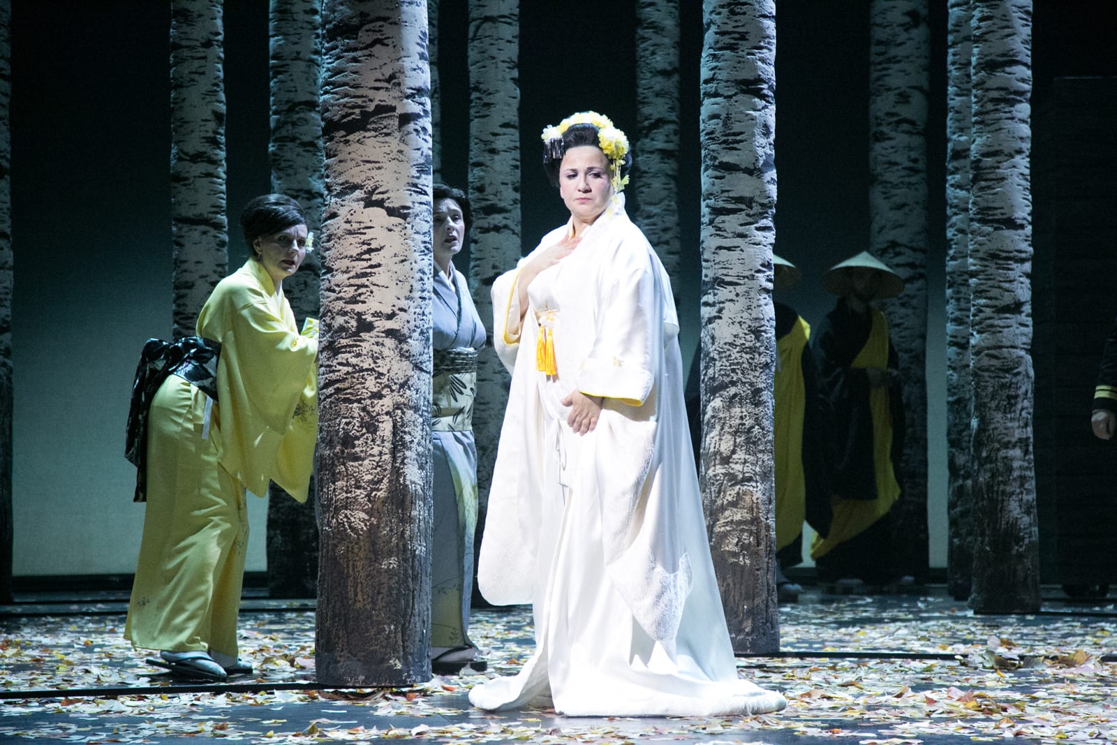 Madama Butterfly