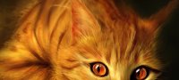 Рыжие коты в доме: народные приметы и предупреждения