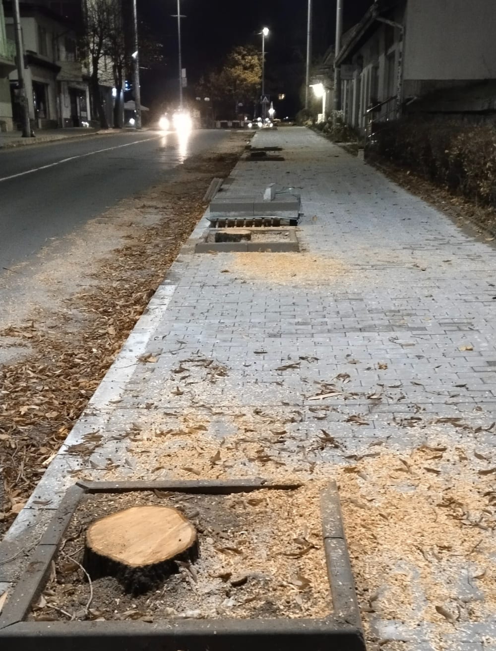 Община Смолян - РЕВИЗИЯ НА ПРИРОДАТА и заменяме крайници с протези !