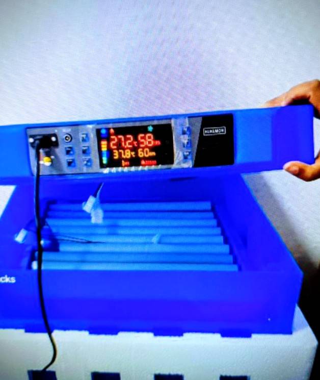 Automated Incubators for Kenyan Hatcheries: Boosting Kienyeji Hatch Rates and Scaling Production