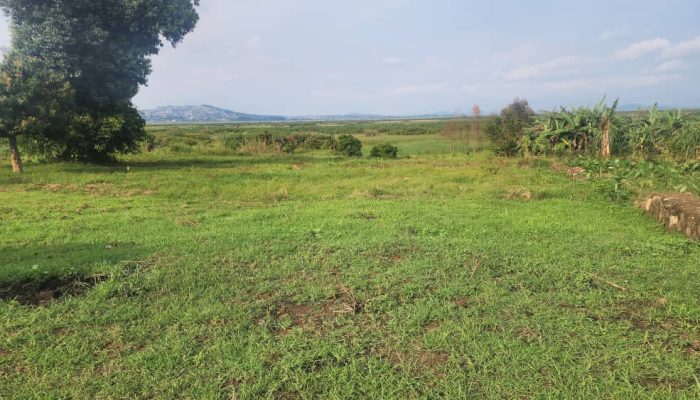 Prime land near airstrip