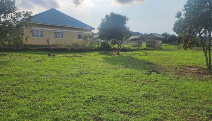 Prime land near airstrip