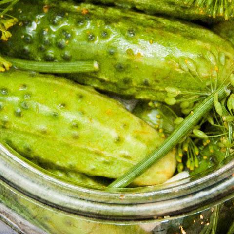 Рассол для огурцов на зиму