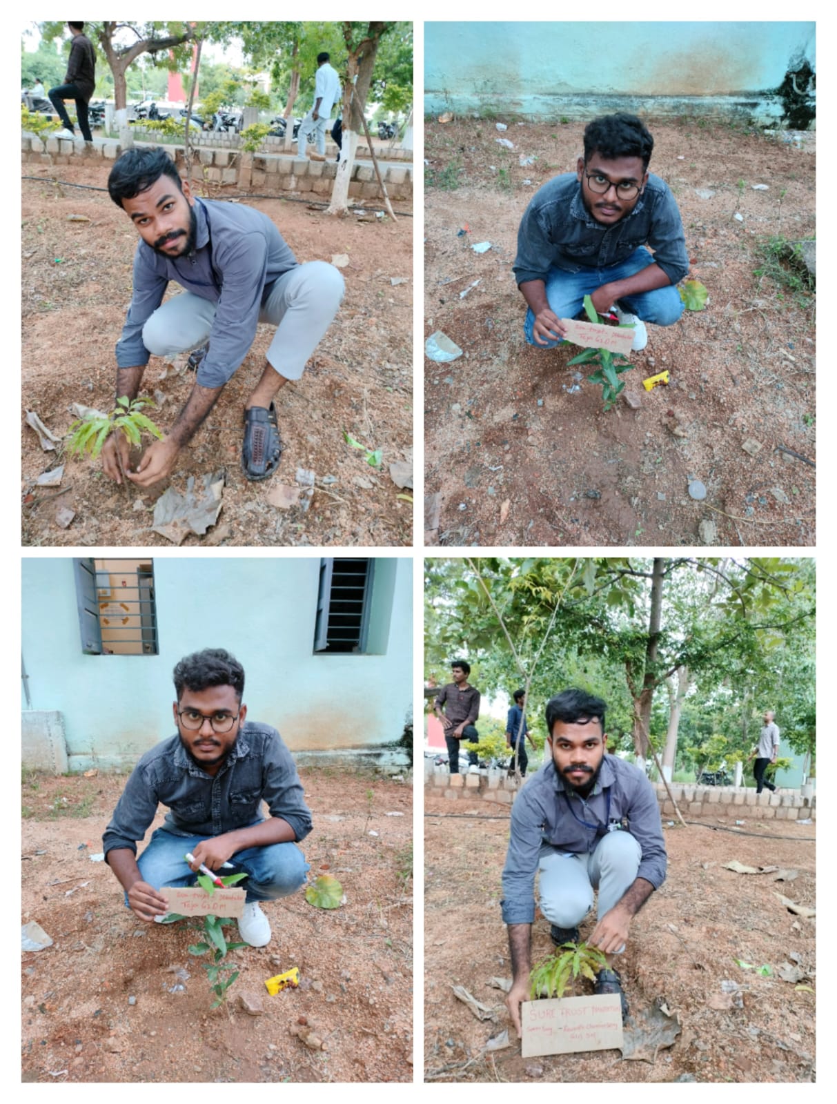 Teja