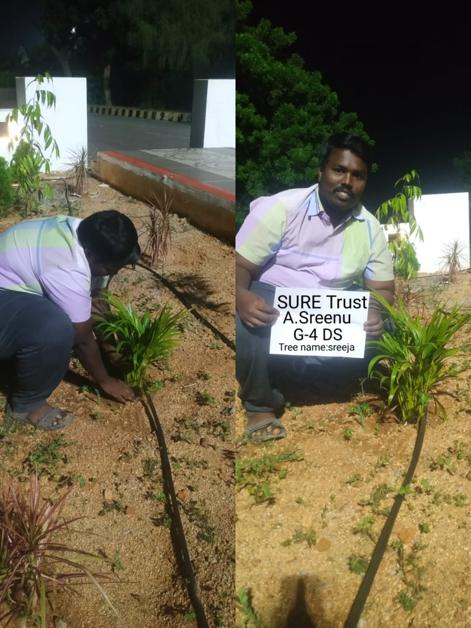 A. Sreenu