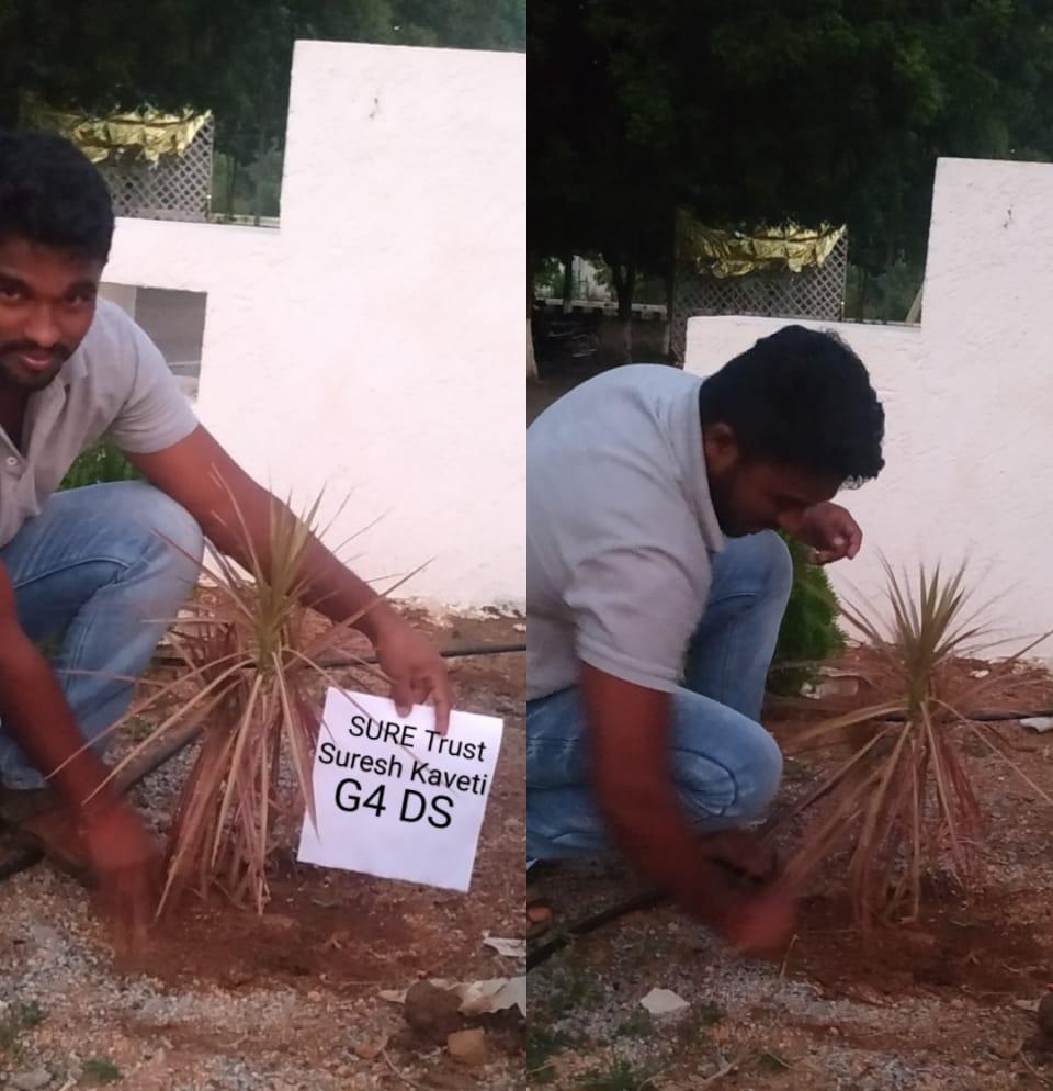 Suresh