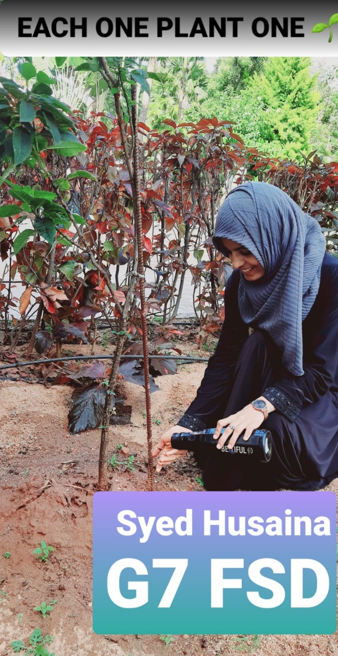 SYED HUSAINA