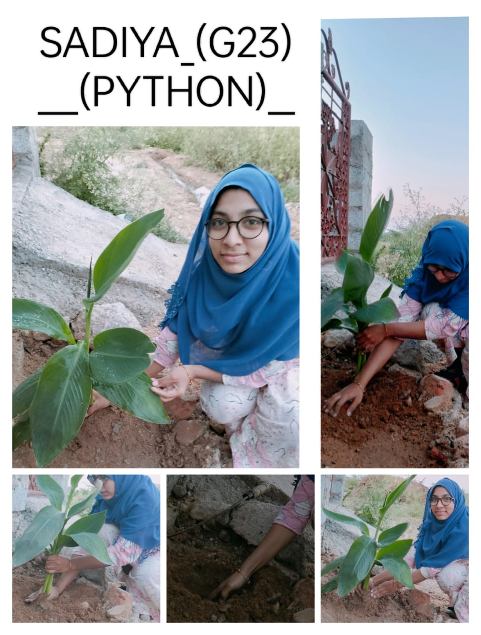 SADIYA