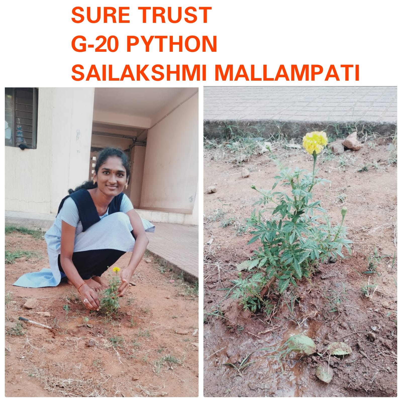 M. SAILAKSHMI