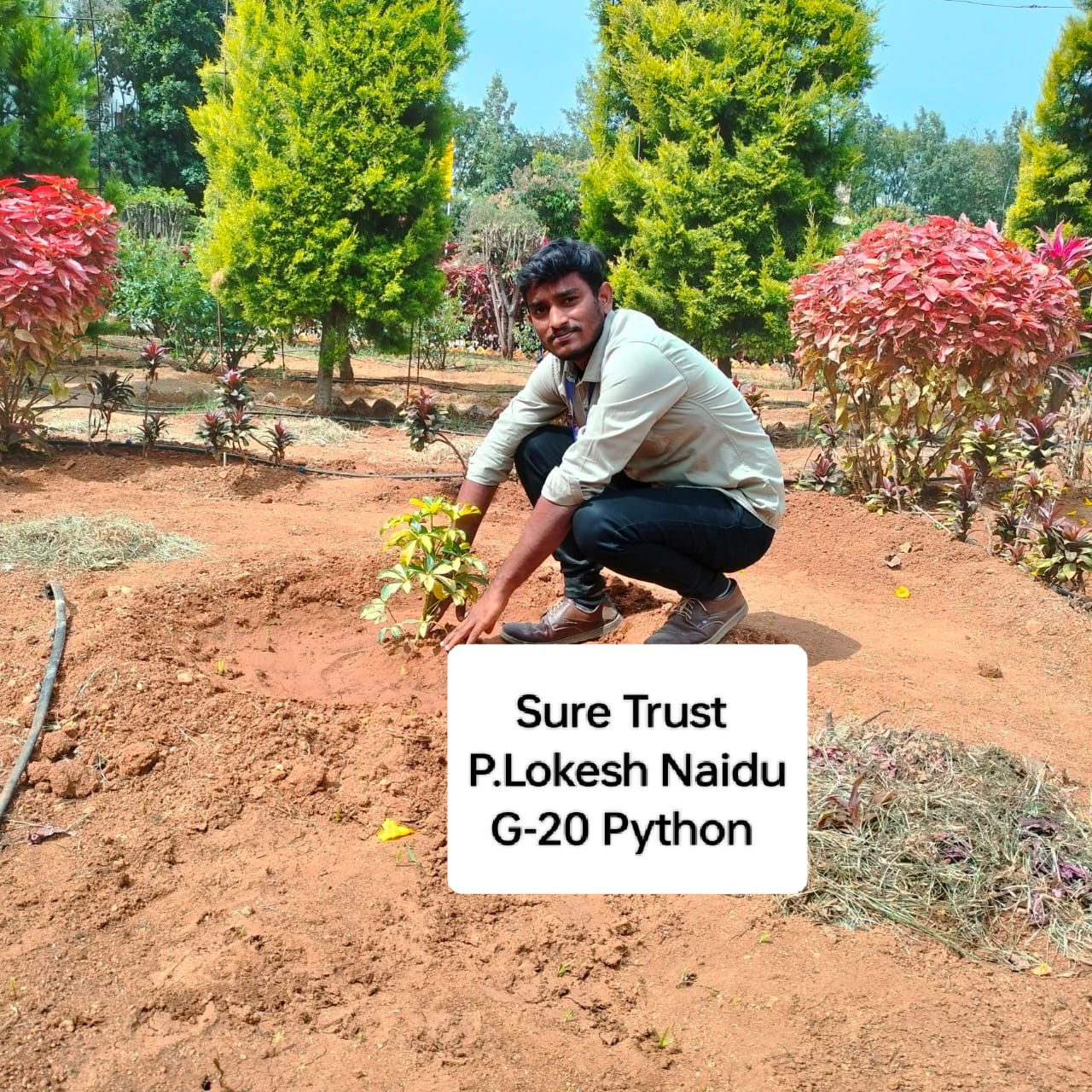 P. LOKESH NAIDU