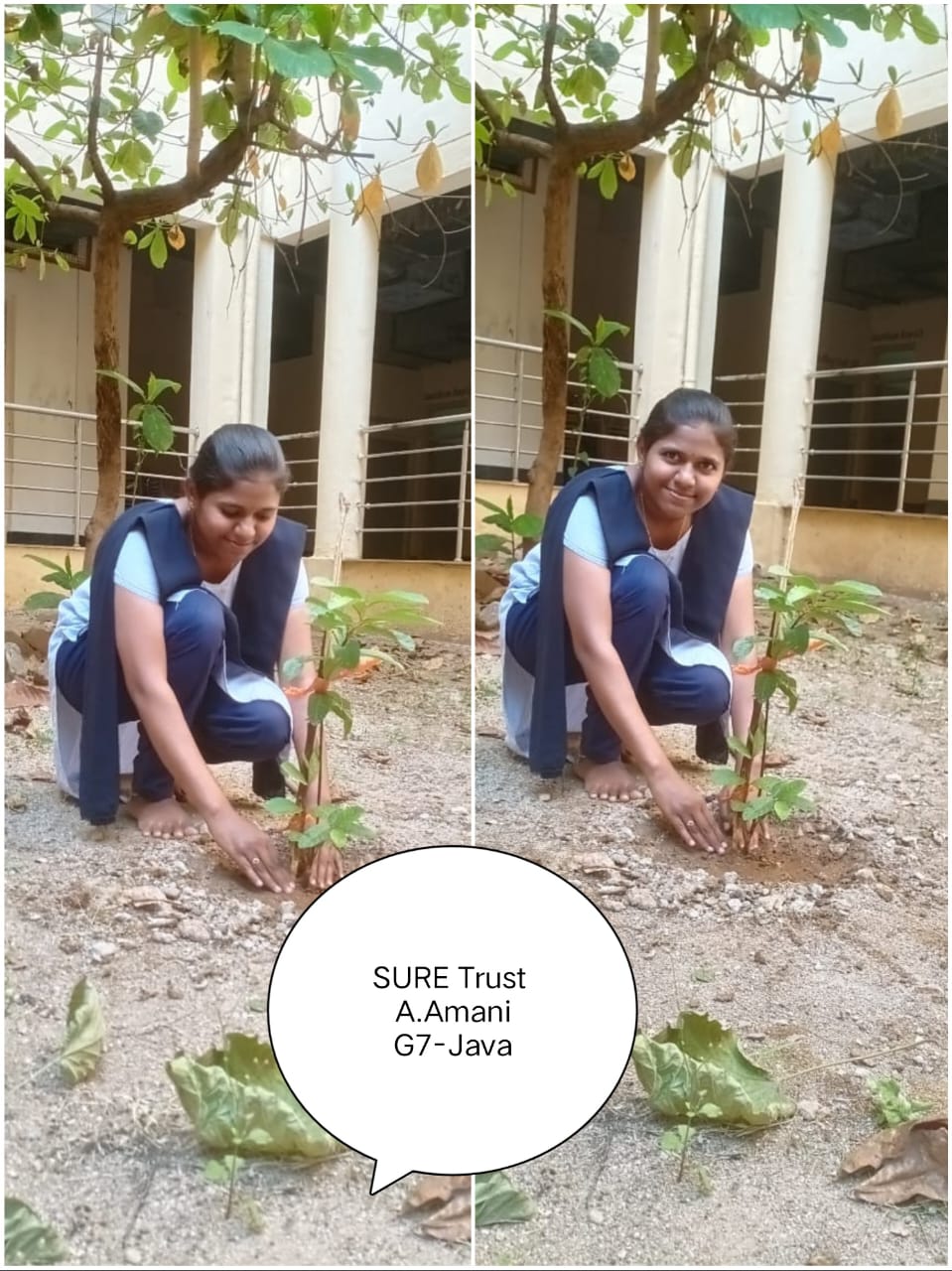 A. AMANI